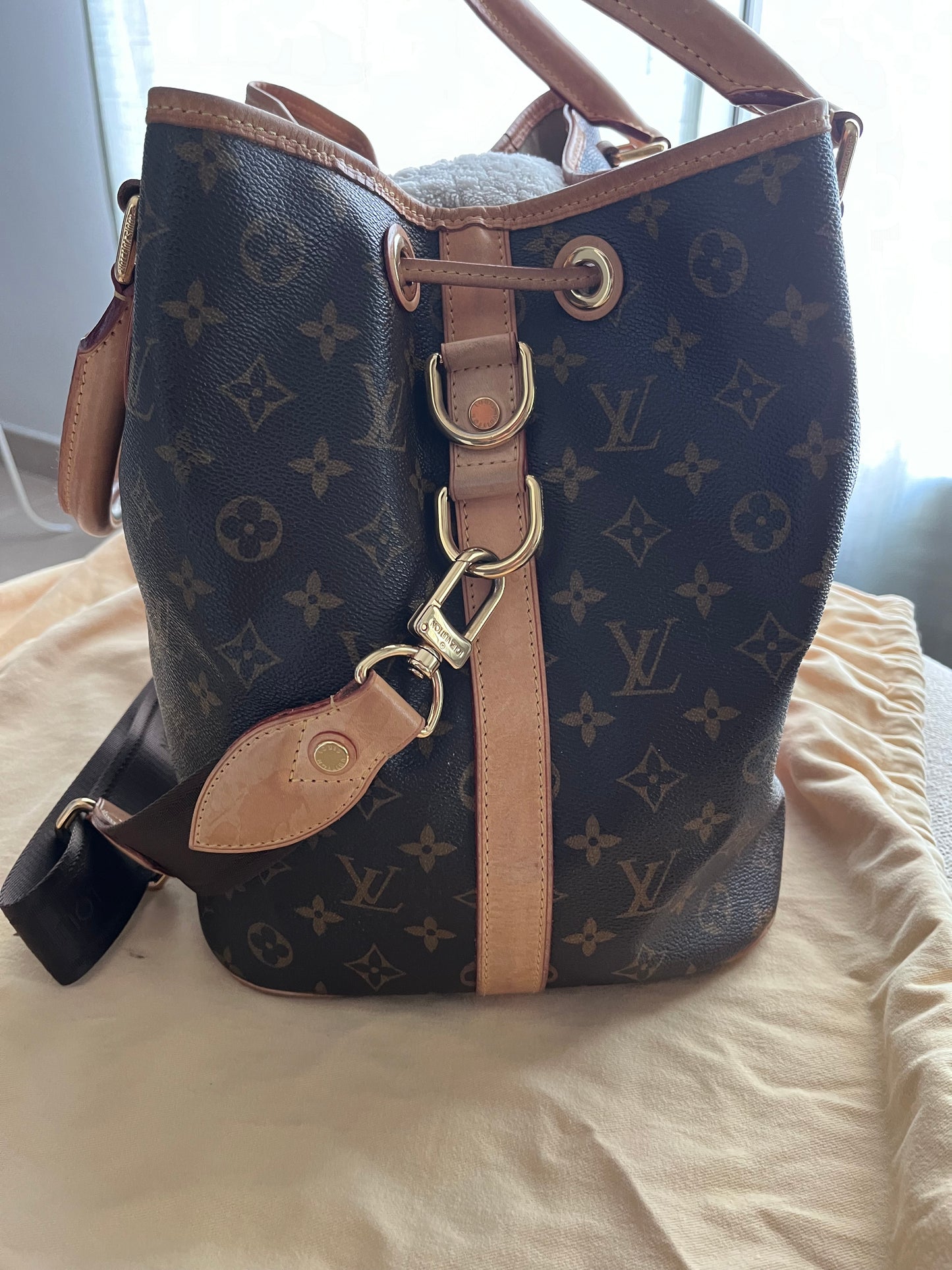 Louis Vuitton Neo Bucket Bag